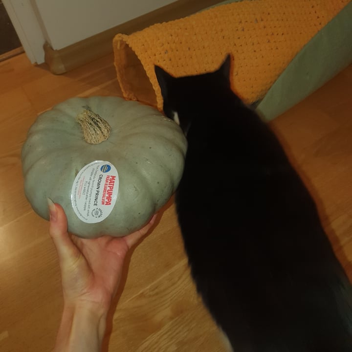 photo of SydGrönt Crown prince matpumpa shared by @adropoceanic on  09 Oct 2025 - review