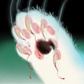 @melissawombat profile image