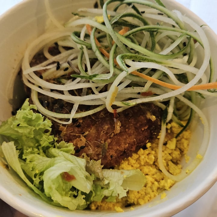 photo of Kang Su Vegetarian @ Far East Plaza Thai style chicken cutlet rice shared by @cakebatter on  11 Nov 2024 - review