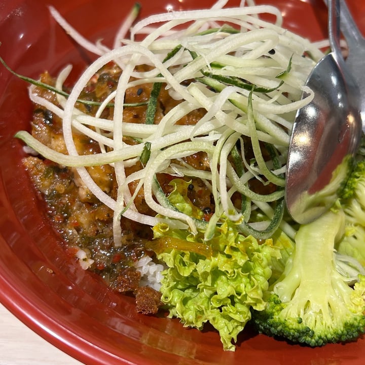 photo of Kang Su Vegetarian @ Far East Plaza Thai style chicken cutlet rice shared by @sharsiva4 on  13 Dec 2024 - review