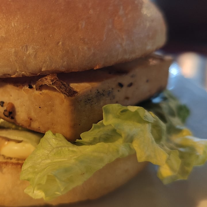 photo of Darcy's Pub Westshore Tofu Burger shared by @mikebroadhead on  18 Nov 2023 - review
