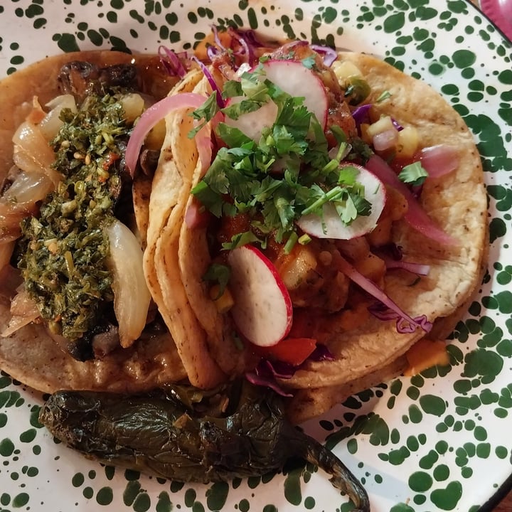 photo of Penelope’s Vegan Taqueria Baja Taco shared by @ohgeorgia on  02 Mar 2024 - review