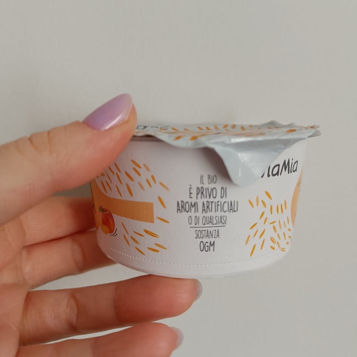 photo of ViaMia Bioavena Vegano Pesca Con Fermenti Lattici shared by @chiarett on  21 Jul 2025 - review