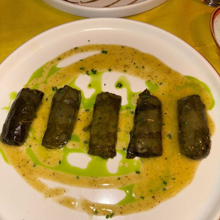 photo of Katogi taverna dolma shared by @shadiamatz on  30 May 2025 - review