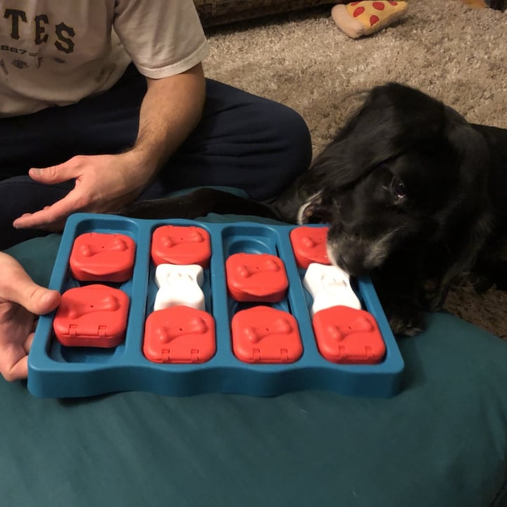 photo of Outward Hound Interactive Treat Puzzle Toy shared by @goodboifinny on  20 Mar 2024 - review
