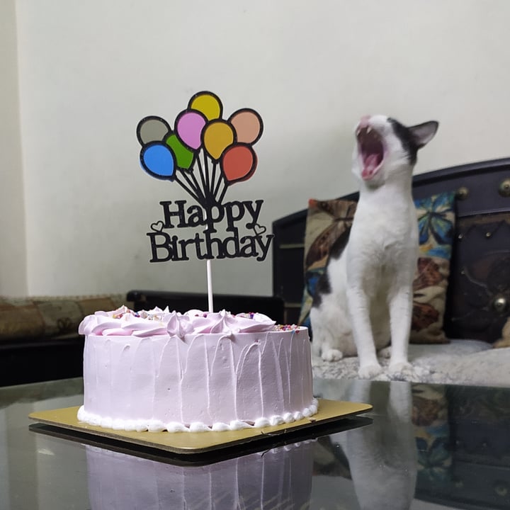 FlowerAura Flower and Cakes Same Day Delivery in Shahpur Jat Siri Fort, New Delhi, India