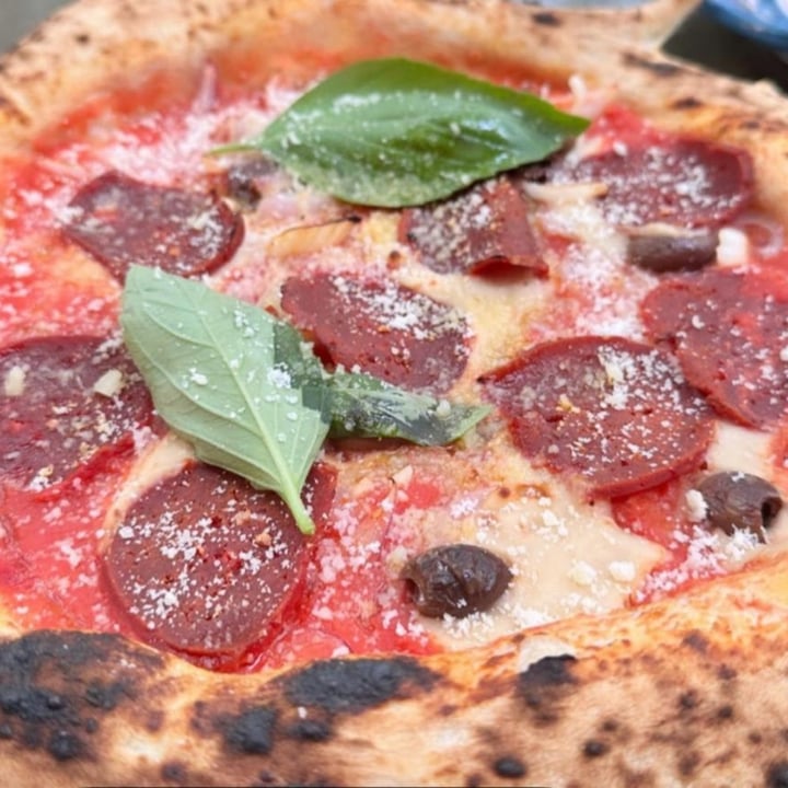 photo of Al Catzone - Pizza Napovegana Super Diavola shared by @spaexel on  26 Dec 2023 - review
