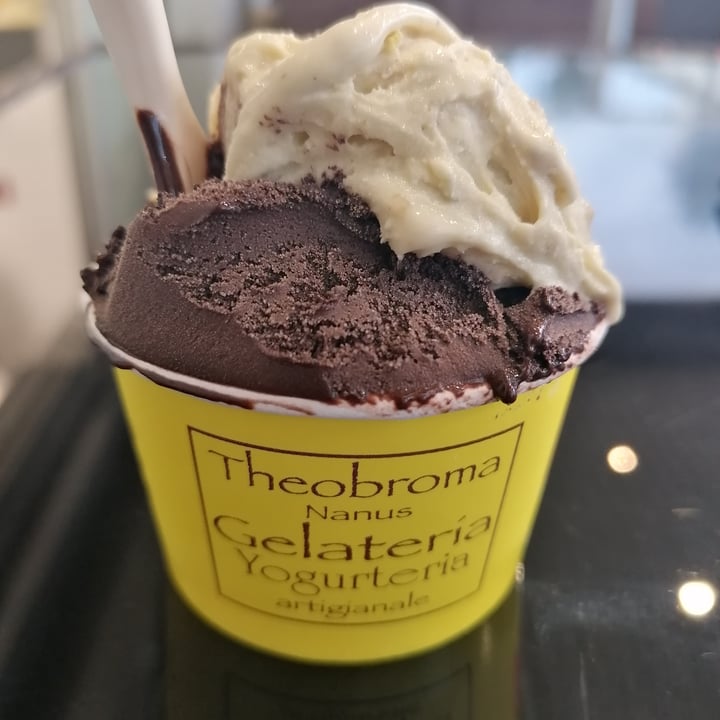 photo of Theobroma Nanus Gelato shared by @claire66 on  05 Feb 2024 - review