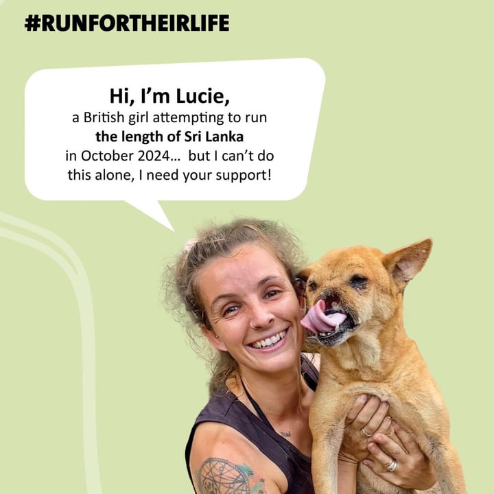 photo shared by @whereslucie on  22 Aug 2024 - post