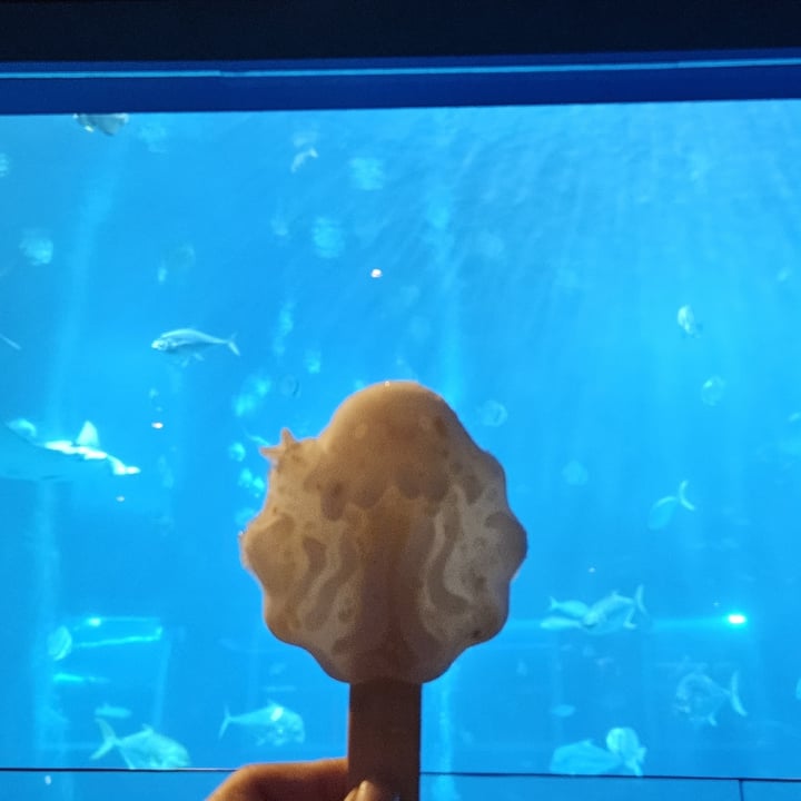 photo of Sea aquarium lychee sorbet shared by @meixin2603 on  21 Jun 2024 - review