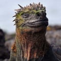 @neushoorn profile image