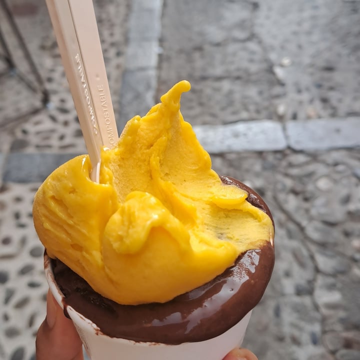 photo of Squagghio Gelato mango e cioccolato shared by @suinonero on  13 Oct 2023 - review