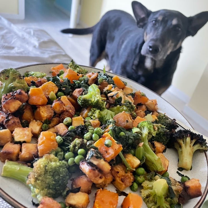 photo shared by @veganvanwoman on  28 Aug 2025 - post