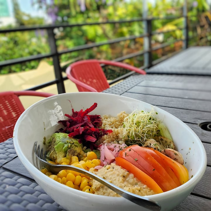 photo of El veggie SV Escalón Buddha Bowl shared by @vagrantvegan on  15 Feb 2025 - review