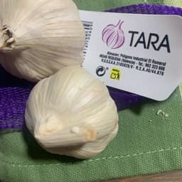 TARA