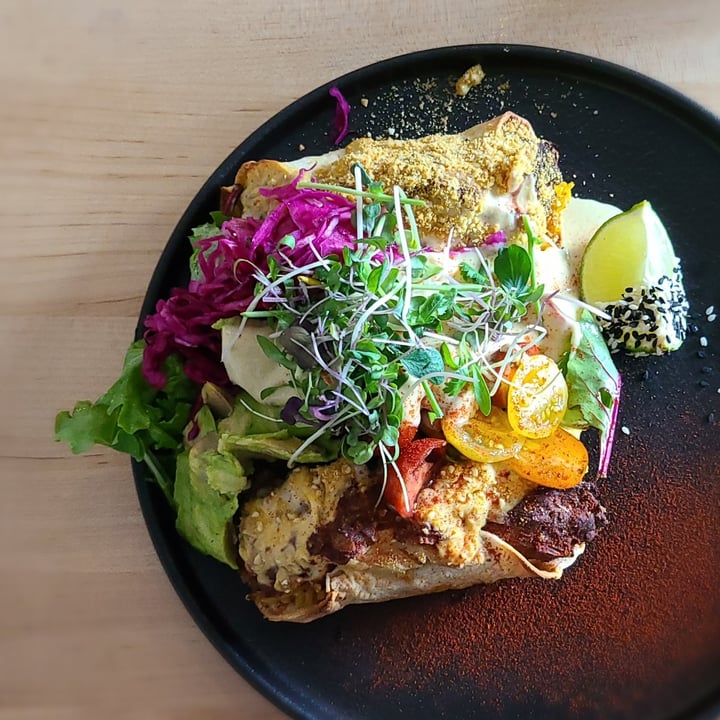 photo of Greenhouse Canteen and Bar Grandview Jackfruit Enchiladas shared by @agreene428 on  27 Aug 2023 - review