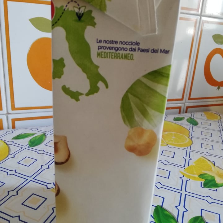 photo of Alpro Bevanda alla nocciola shared by @laval on  27 May 2024 - review