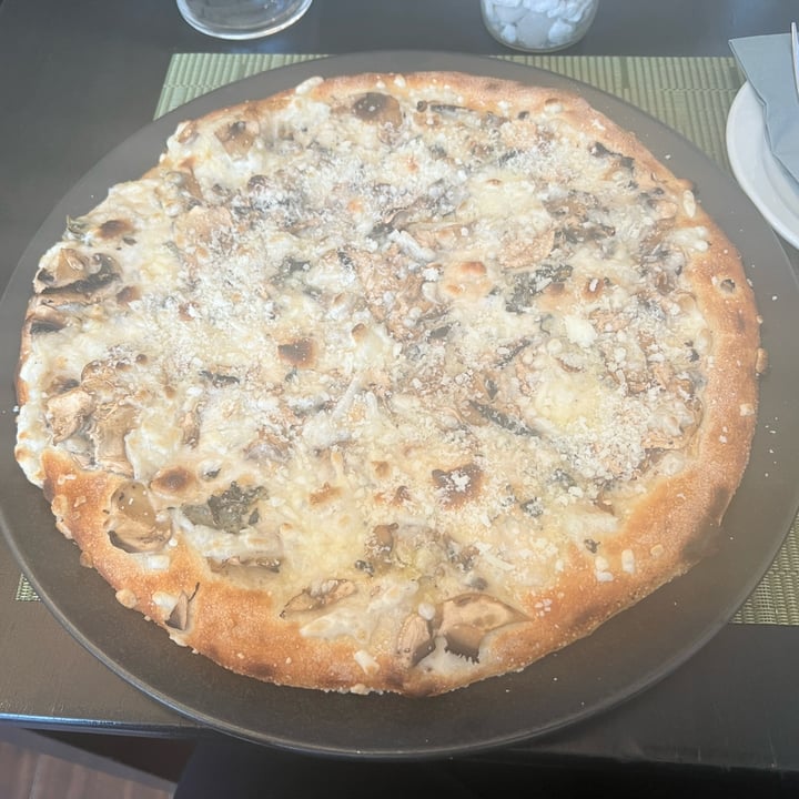 photo of Novapizza Vegetarian Kitchen 4 cheese and mushroom white pizza shared by @ana7 on  06 May 2024 - review