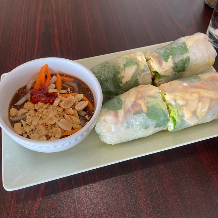 photo of Thanh Luong Vegetarian Spring Rolls shared by @earthlingab on  02 Mar 2025 - review