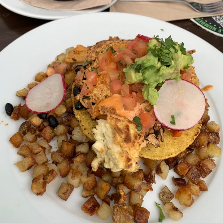 Blu Jam Cafe Woodland Hills, Los Angeles, United States Vegan Tofu