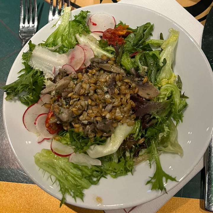 photo of Bistrot Chez Rémy Spelt And Mushroom Salad With Garlic And Parsley, Kitchen Garden Vinaigrette shared by @freakylord on  01 Apr 2024 - review