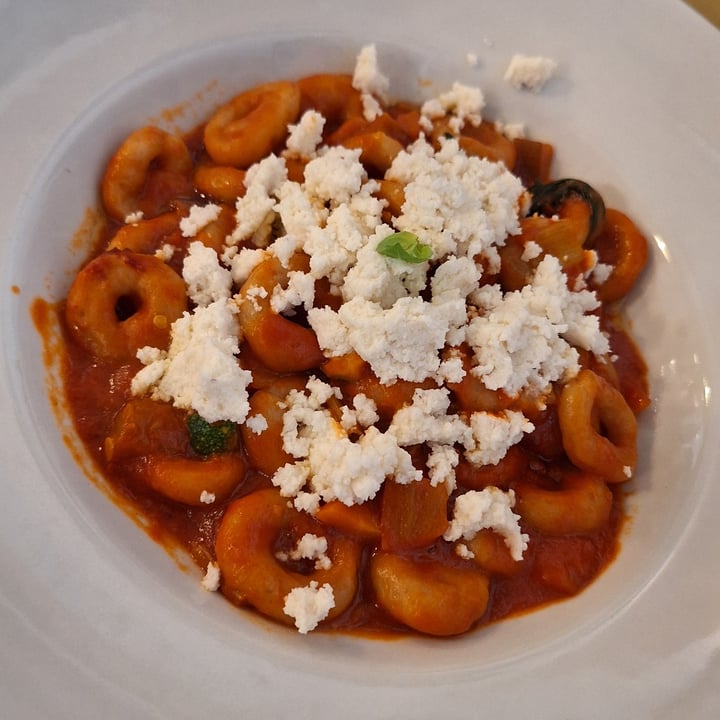 photo of Gastronomia L'Abruzzo A Tavola Anellini Alla Pecorara Vegan shared by @rosannad93 on  23 Aug 2025 - review