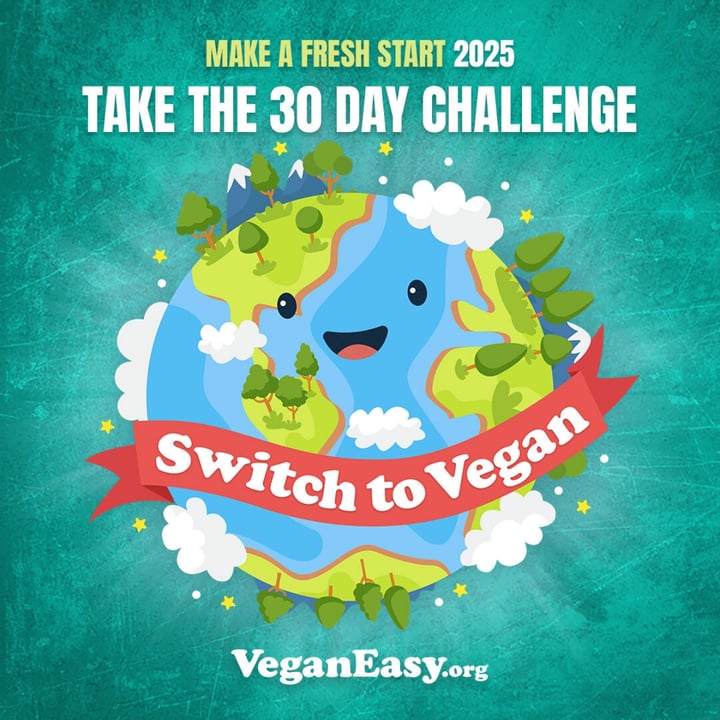 photo shared by @veganeasychallenge on  28 Dec 2024 - post