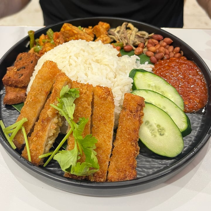 photo of Greendot The Seletar Mall Kampung Nasi Lemak 1965 shared by @ziggyradiobear on  31 Jul 2025 - review