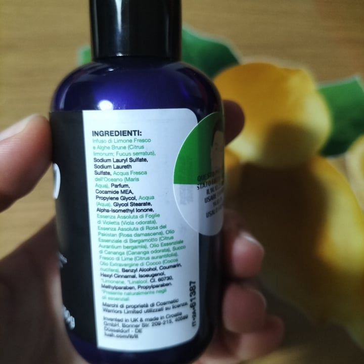 photo of Lush Daddy-o Shampoo shared by @zago on  01 Mar 2024 - review