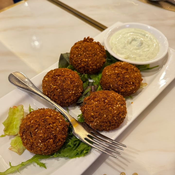 photo of Shabestan Falafel shared by @vegan-ravana on  03 Aug 2025 - review