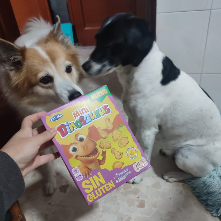 photo of Artiach Galletas Mini Dinosaurus Sin Gluten shared by @theandalusianqueer on  29 Oct 2024 - review