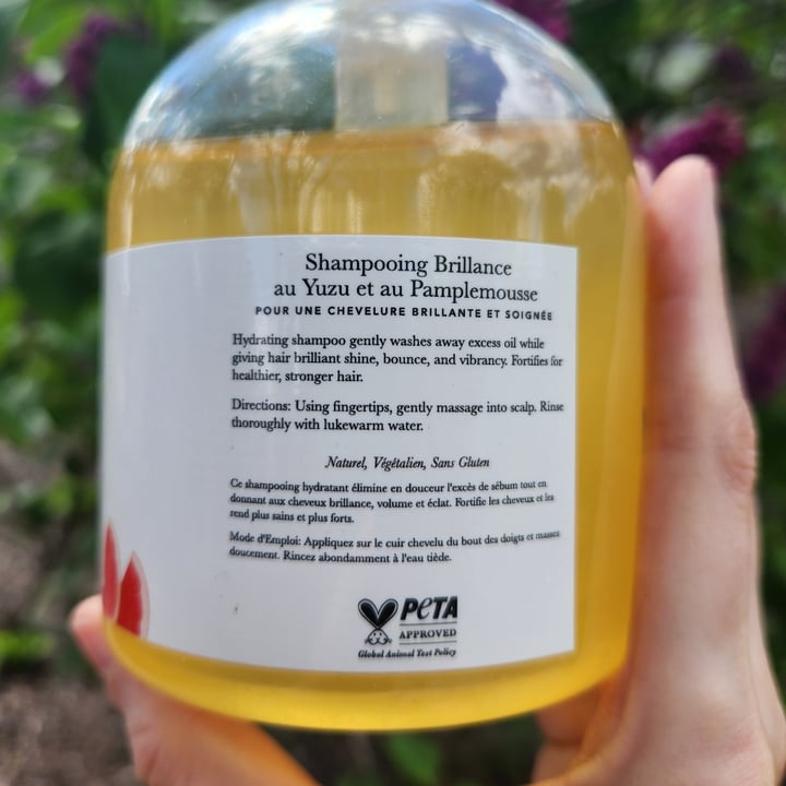 photo of 100% PURE Yuzu and Pomelo Glossing Shampoo shared by @rosieb33 on  11 May 2024 - review