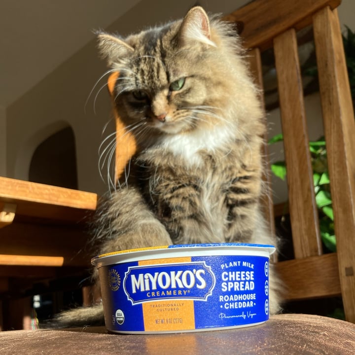 photo of Miyoko's Creamery Roadhouse Cheddar Spread shared by @lansterm on  16 Jan 2024 - review