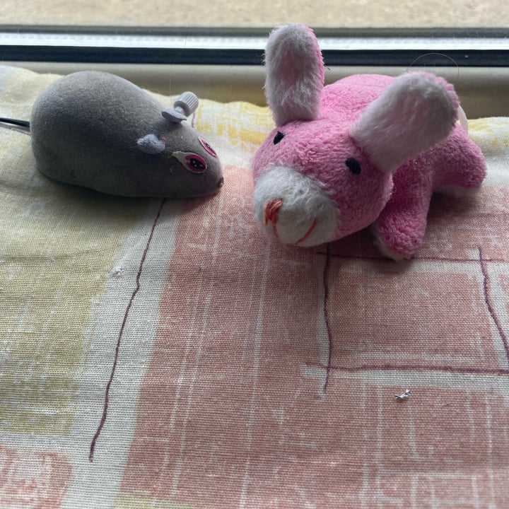photo of Vitakraft pet toys shared by @pippocat on  17 Mar 2024 - review