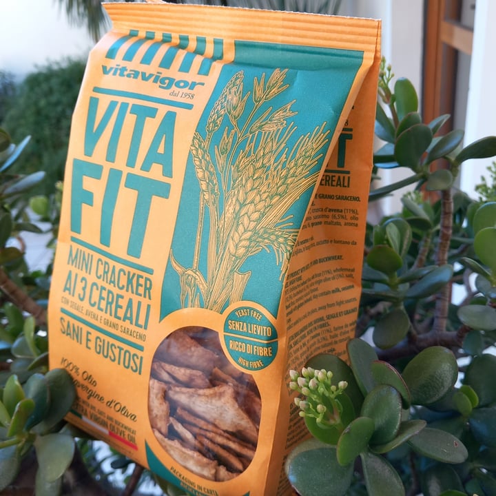 photo of Vitavigor Vita fit mini cracker ai 3 cereali shared by @adeco on  28 Dec 2023 - review