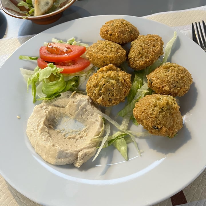 photo of Falafel&hummus Falafel shared by @greenavocado on  28 Apr 2024 - review