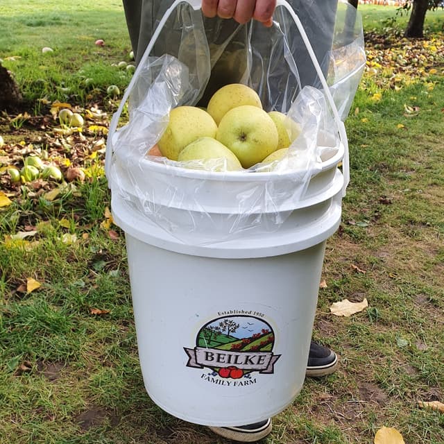 Photo of the dish “U-Pick Apples”