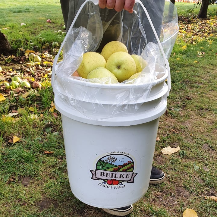 photo of Beilke Family Farm U-Pick Apples shared by @anistavrou on  11 Dec 2024 - review