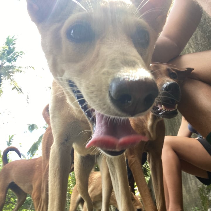 photo shared by @whereslucie on  23 Aug 2024 - post