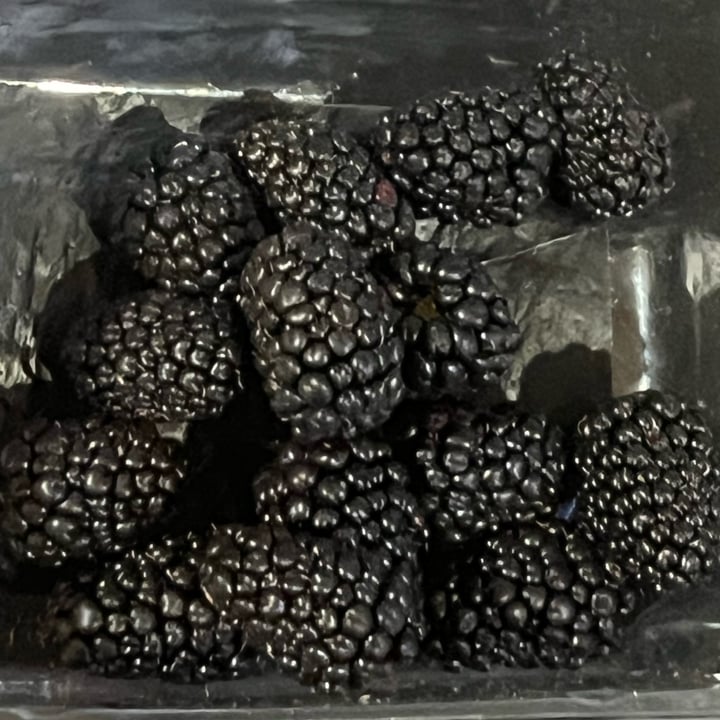 photo of Driscoll’s Blackberries shared by @petramodirari on  16 Apr 2024 - review