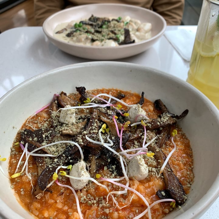 photo of Mudrá risotto de hongos y salsa shared by @signorinaluciana on  23 Jan 2025 - review