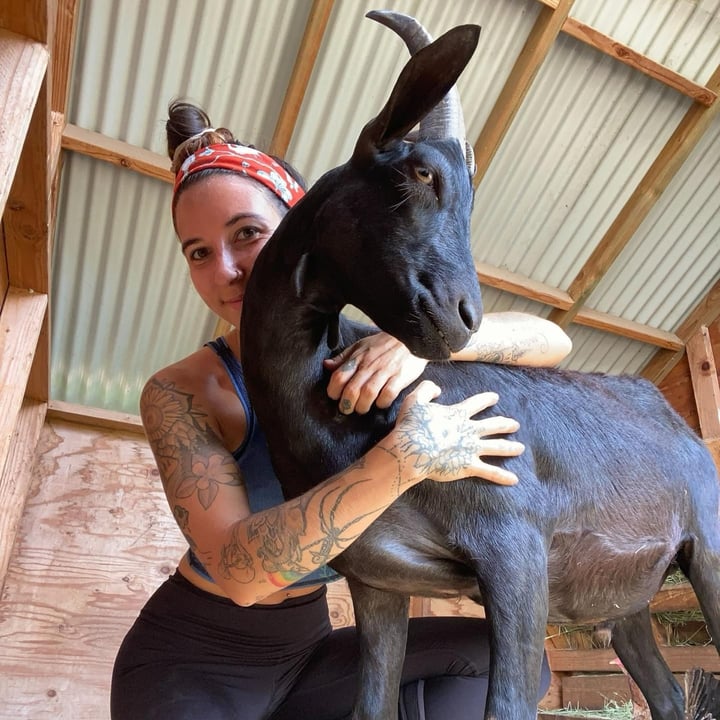 photo shared by @alohaanimalsanctuary on  12 Sep 2024 - post