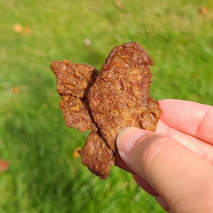 photo of Beyond Meat Teriyaki Jerky shared by @agreene428 on  15 Oct 2023 - review