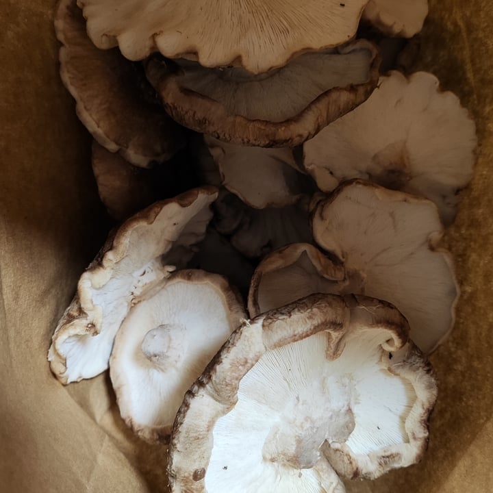 photo of Mighty greens Cogumelos Shitake shared by @daniprado on  16 Oct 2023 - review