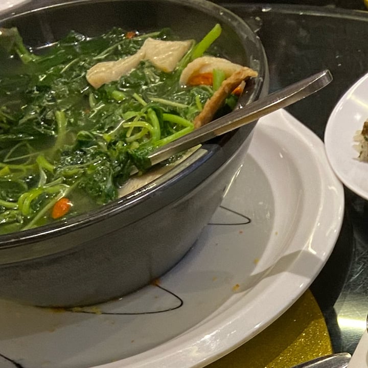 photo of LVC Vege Restaurant 创意林镇藩料理坊 Traditional soupy chinese spinach shared by @fxk on  22 Apr 2024 - review