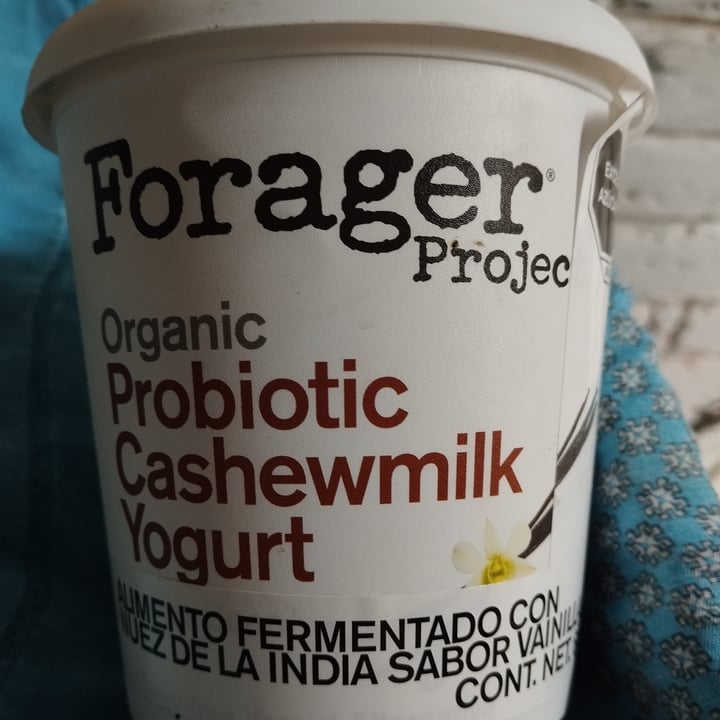 photo of Forager Project Cashew Milk Yogurt with Maple shared by @eloisagoodforme on  13 Apr 2024 - review