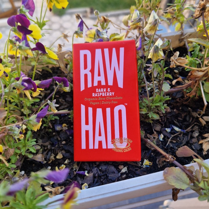 photo of Raw Halo Dark & Raspberry Organic Raw Chocolate shared by @valibabali on  14 Apr 2024 - review