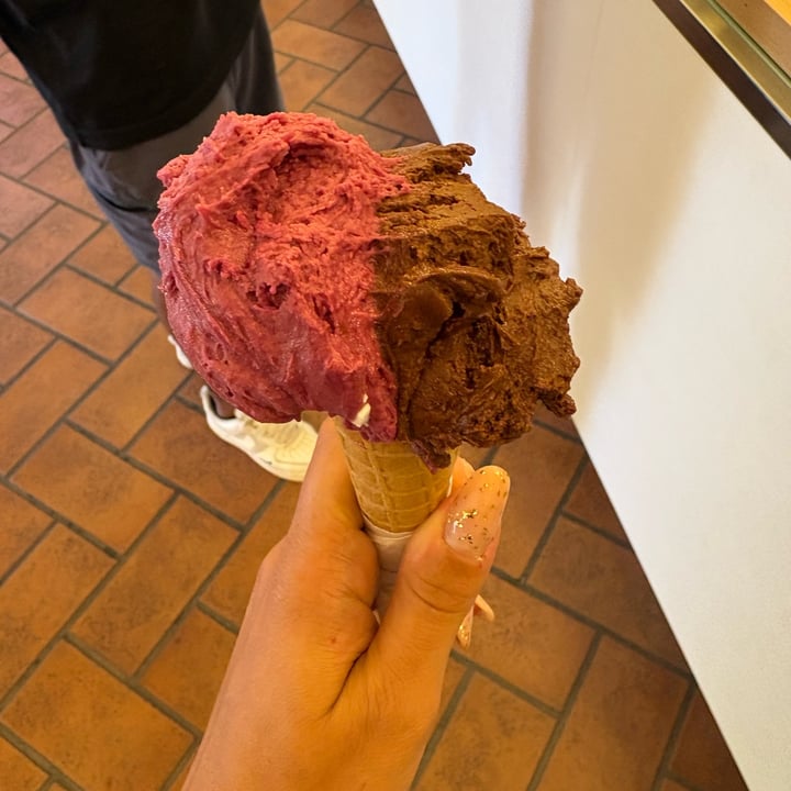photo of Gelateria Mille Castelcovati Gelato Vegano shared by @federego77 on  01 Oct 2025 - review