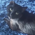 @migithealien profile image