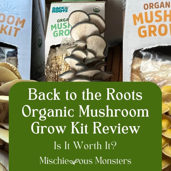 photo of Back to the roots Organic Mushroom Grow Kit shared by @mischievousmonsters on  02 Jun 2025 - review